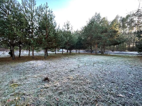  - фото нерухомості